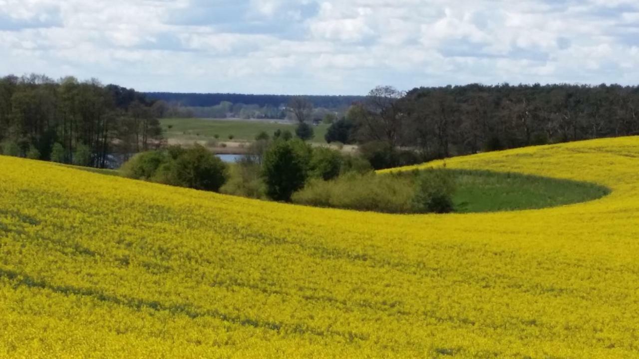 Ferienhaus Storchenweg Mahlzow Esterno foto